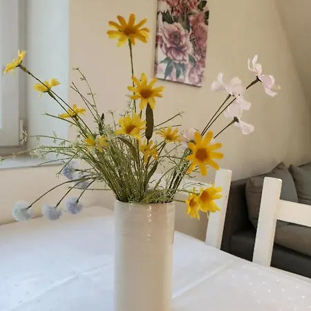 Διαμέρισμα Ceska Kanada *